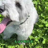 可愛さは変わらない♡