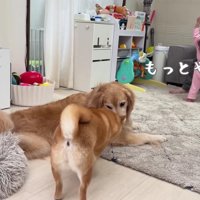 微笑ましい光景にホッコリ