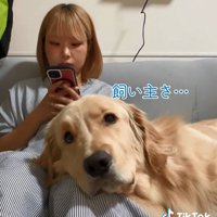 スマホを見る投稿主さん
