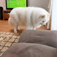 立ち尽くす