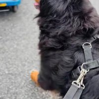 配達員さんも気付いた