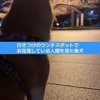 お花見している人を見て…