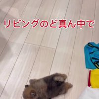 家の中を歩いていると…