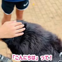 「触ってもいいですか？」