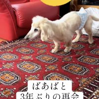 一歩一歩、おばあちゃんのそばへ