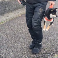 抱えられて横を向く犬3