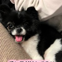 赤ちゃんと手足が当たってる！！