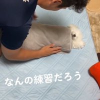 体を包む