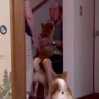 みんなが集まっても…