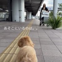 「おねーたんなの…？」