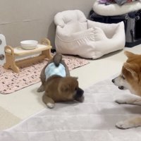 強めの「指導」が入ります