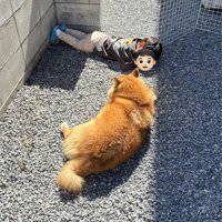 一緒に