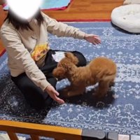 座って腕を広げる飼い主