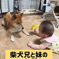 ロック君と赤ちゃん