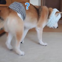 「？？」