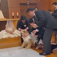 お父さんの元へ