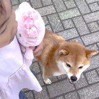 「待ってたよ～♡」