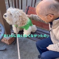 そっぽを向く犬