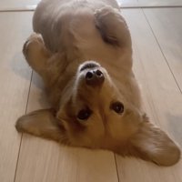 微動だにしないありちゃん