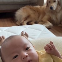 「いつでもよんでね」