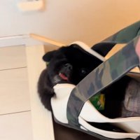 何度も当たっていますが…