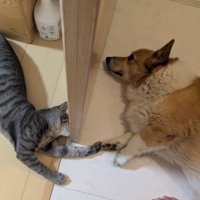 仲良し