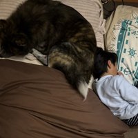 完全に押し出されてしまったお兄ちゃん