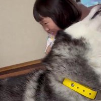 ゼレンちゃんはゴロンと仰向けに