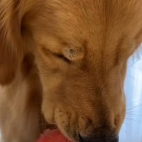 少しずつ食べる暖くん