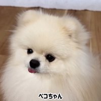 「もっと食べたい！」