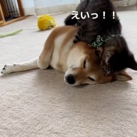 アタックするゆずくん