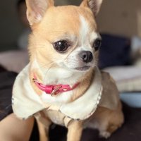 思わず見惚れてしまうほどの美人さん♡