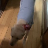 投稿者さんのもとへ
