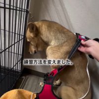 練習方法を変えた投稿者さん