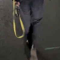 リードを持って歩く人