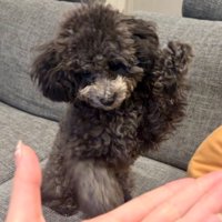 まさかの勘違い