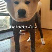 サイズを間違えた！！