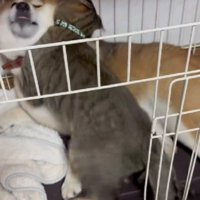 愛があふれて押し倒しちゃった！