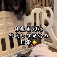 バオバオくんと赤ちゃん