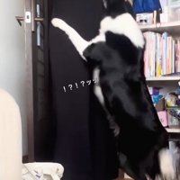 タックルを披露！！