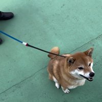 「無事でよかった」とニッコリ