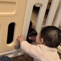 舐められる赤ちゃん