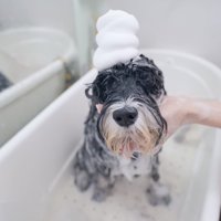 モッコモコの泡！