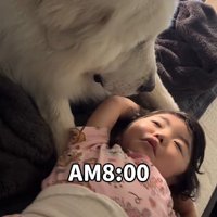 起きたくなさそうな娘さん