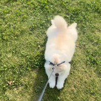 あまりに歩かないと…
