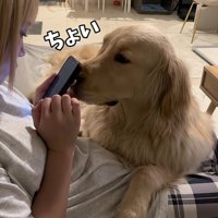 「なでてほしいな」