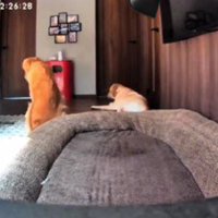 家族を待ちわびていた