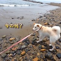 呆然…！