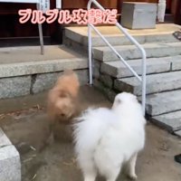 泥が飛び散ります！