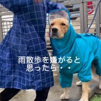 カッパは苦手だけど…